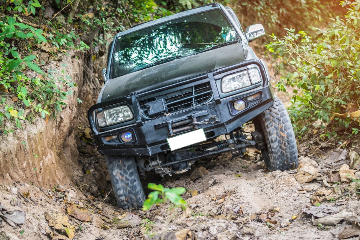 4 Wheel Drive in the Forest